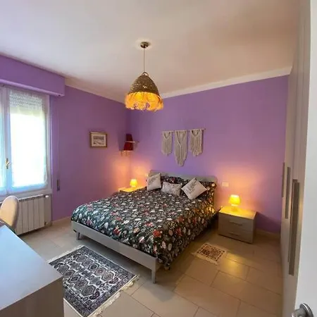 Florentia Viola I * פירנצה